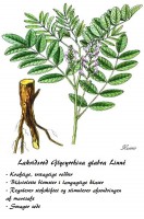 /album/claudes-notesbog/lakridsrod-jpg1/